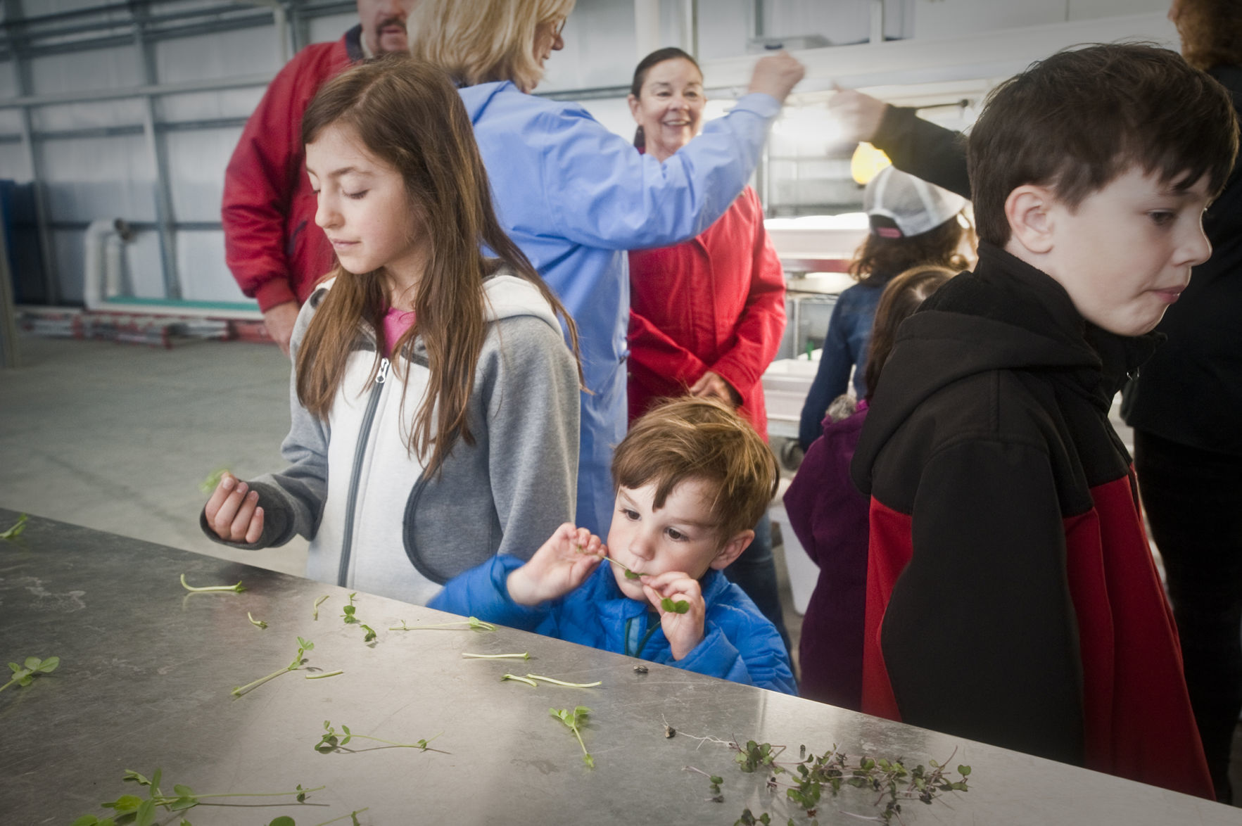 Junior Gardeners